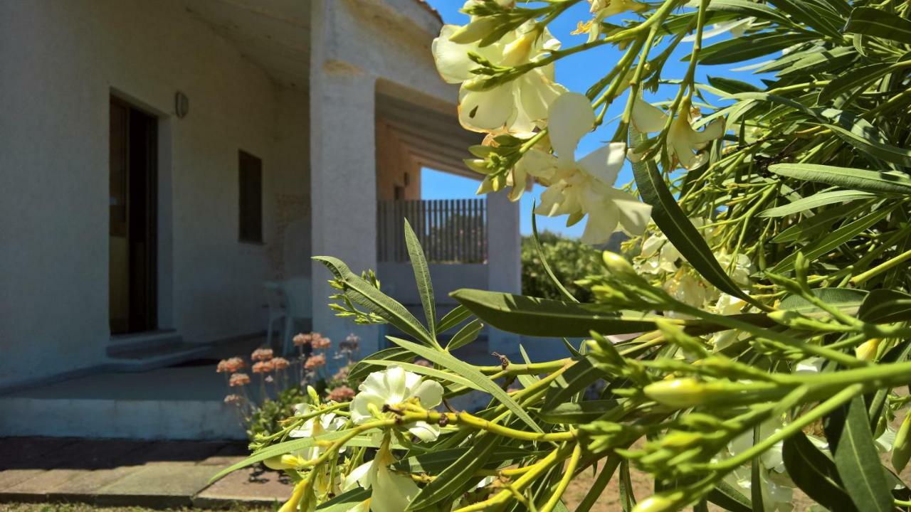 Villa Singola 발레도리아 외부 사진